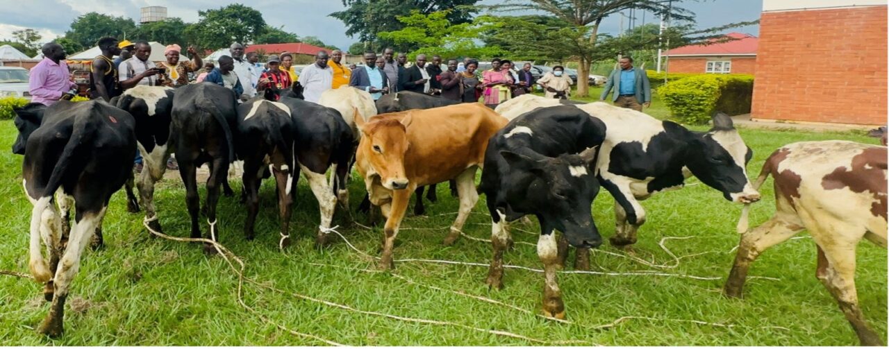 Bunyoro ministry initiatives boost incomes, health